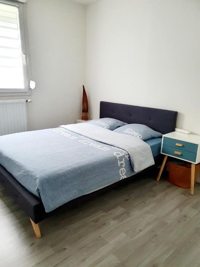 Bel Appartement Cosy ストラスブール エクステリア 写真
